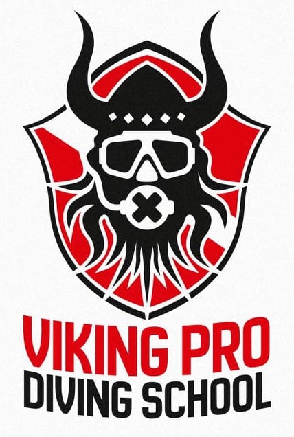 Viking Pro